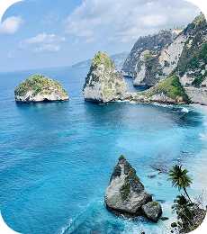 Sea